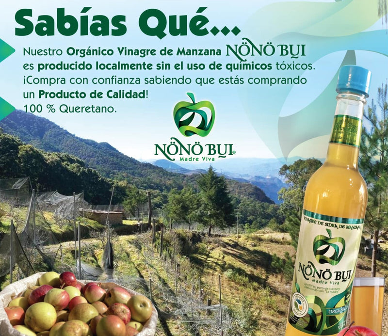 VINAGRE DE MANZANA NONO BIU 500 ML